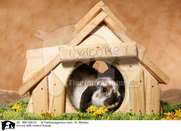 Kaninchen mit Nagerhuschen / bunny with rodent house / RR-18610