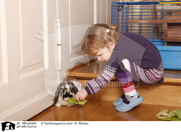 kleines Mdchen mit Kaninchen / girl with bunny / RR-28480