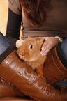 young woman with rabbit