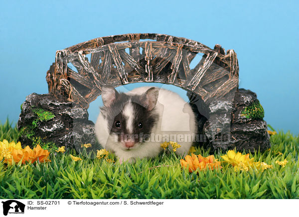 Hamster / SS-02701