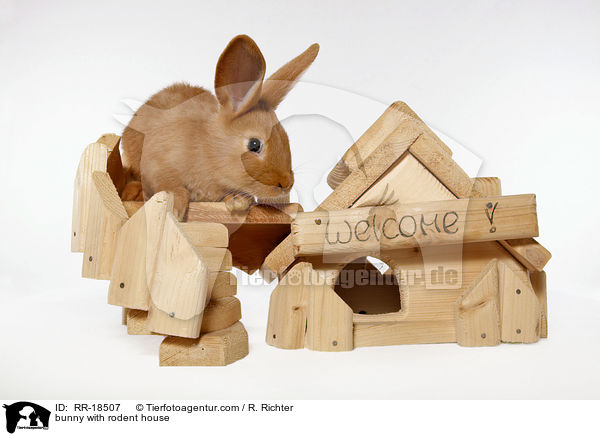 bunny with rodent house / RR-18507