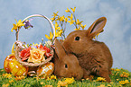 easter-bunny