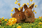 easter-bunny