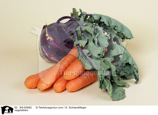 Gemse / vegetables / SS-05982