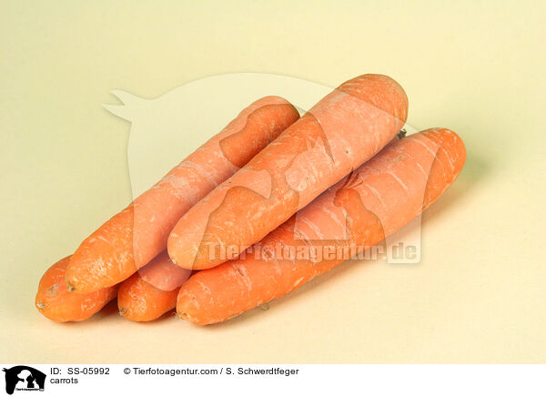 Mhren / carrots / SS-05992
