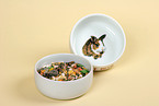 rabbit food