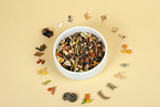 guinea pig food