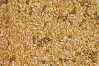 oat