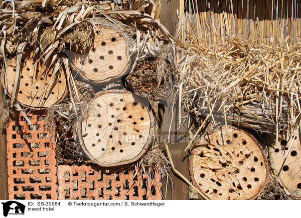 Insektenhotel / insect hotel / SS-30684