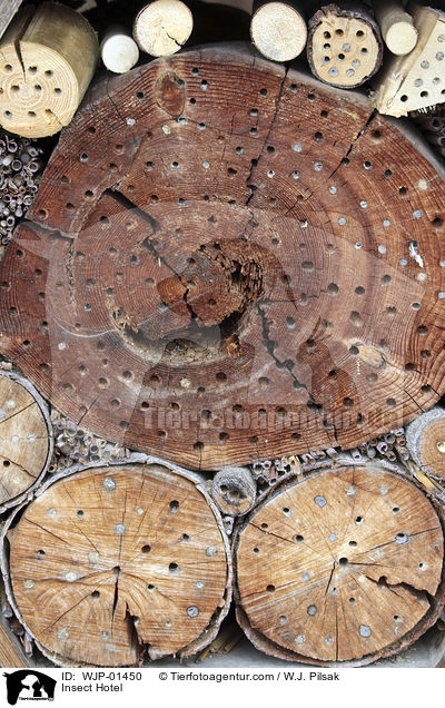 Insektenhotel / Insect Hotel / WJP-01450