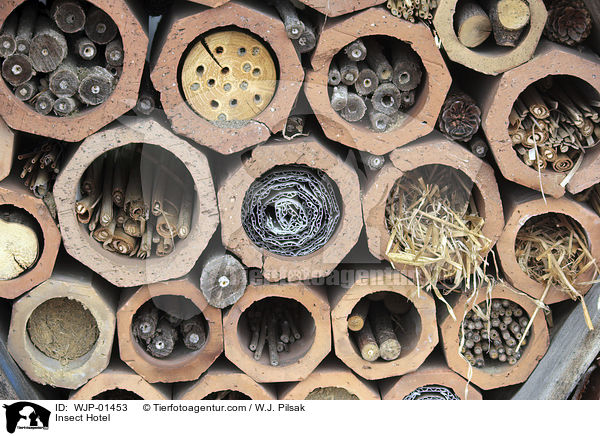 Insektenhotel / Insect Hotel / WJP-01453