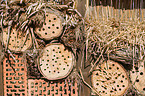 insect hotel