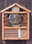insect hotel