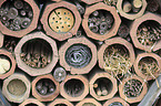 Insect Hotel