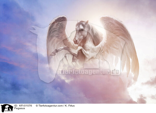 Pegasus / Pegasus / KFI-01076