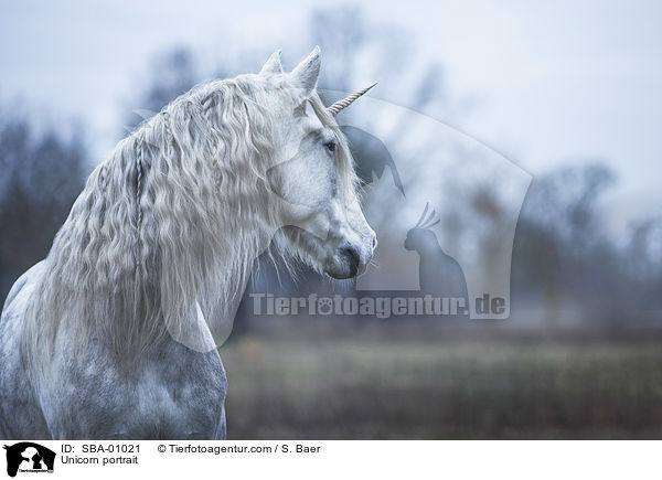 Einhorn Portrait / Unicorn portrait / SBA-01021