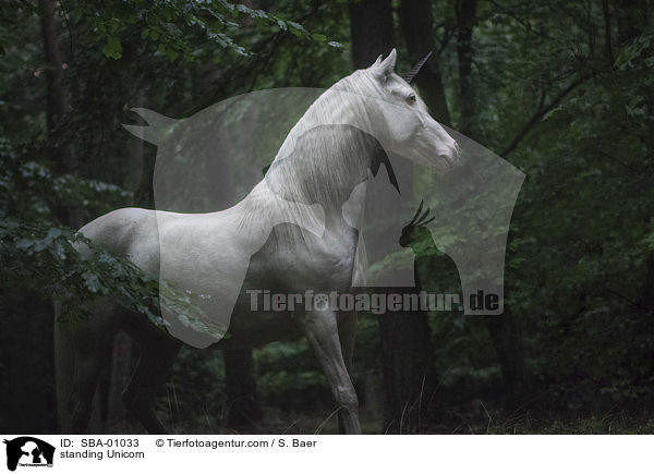 stehendes Einhorn / standing Unicorn / SBA-01033