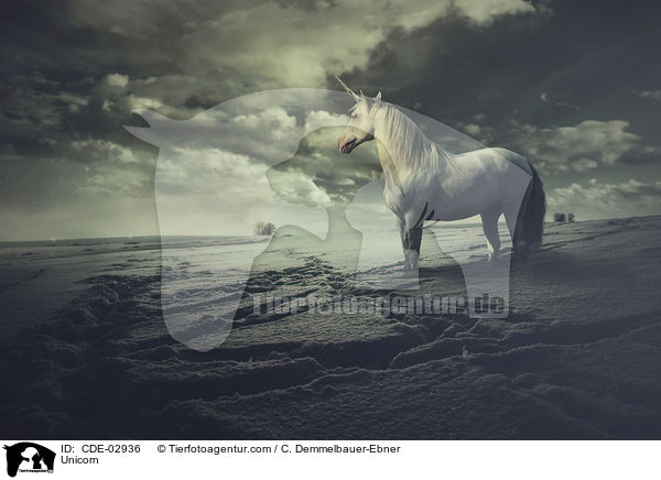 Einhorn / Unicorn / CDE-02936