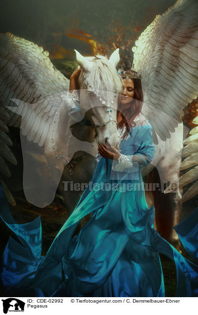 Pegasus / CDE-02992