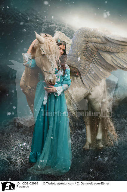 Pegasus / Pegasus / CDE-02993