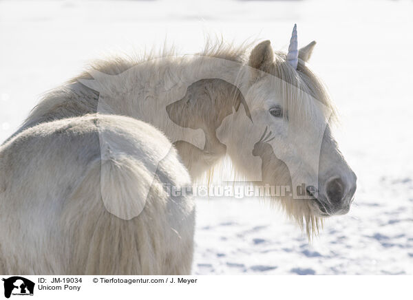 Unicorn Pony / JM-19034