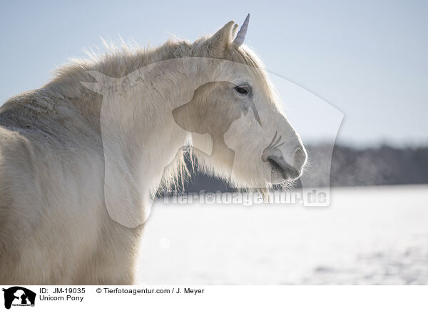Unicorn Pony / JM-19035