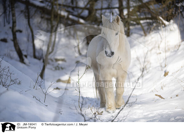 Unicorn Pony / JM-19041
