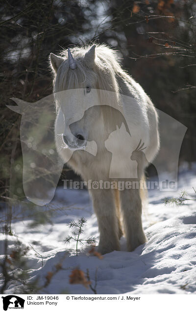 Unicorn Pony / JM-19046
