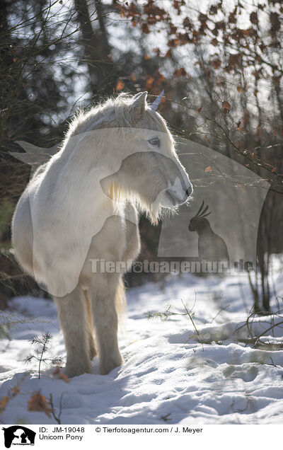 Unicorn Pony / JM-19048