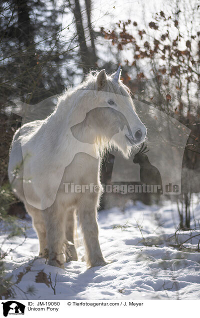 Unicorn Pony / JM-19050