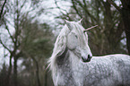 Unicorn portrait
