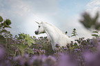Unicorn portrait