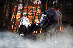 monster with warhorse