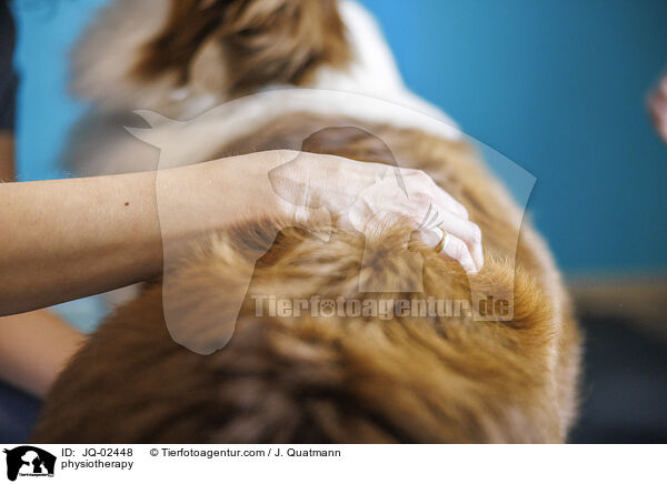 Physiotherapie / physiotherapy / JQ-02448