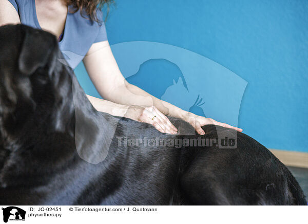 Physiotherapie / physiotherapy / JQ-02451
