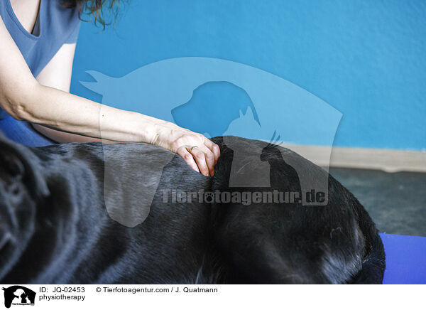 Physiotherapie / physiotherapy / JQ-02453
