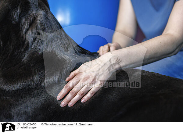 Physiotherapie / physiotherapy / JQ-02455