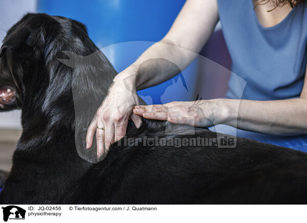 Physiotherapie / physiotherapy / JQ-02456