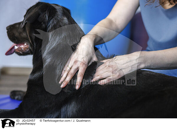 Physiotherapie / physiotherapy / JQ-02457