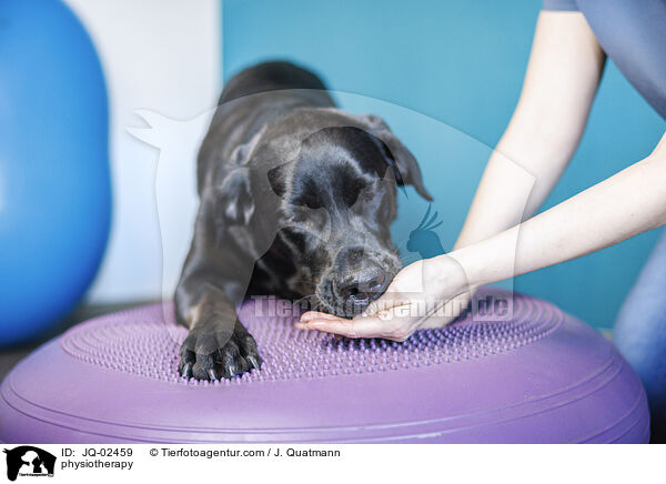 Physiotherapie / physiotherapy / JQ-02459