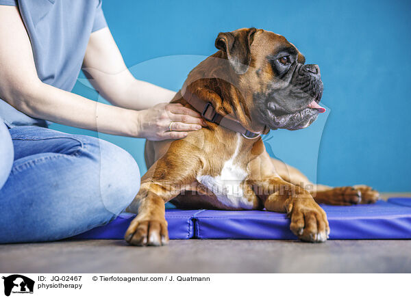Physiotherapie / physiotherapy / JQ-02467
