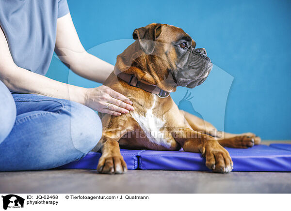 Physiotherapie / physiotherapy / JQ-02468