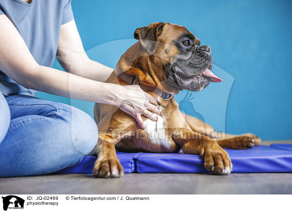 Physiotherapie / physiotherapy / JQ-02469