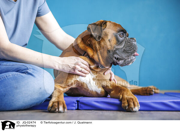 Physiotherapie / physiotherapy / JQ-02474