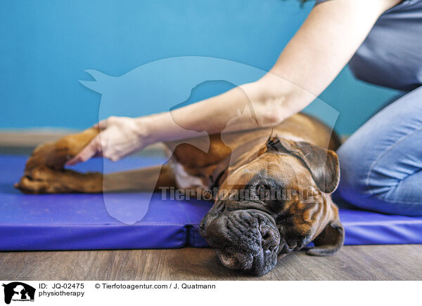 Physiotherapie / physiotherapy / JQ-02475