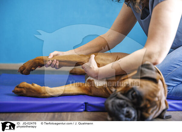 Physiotherapie / physiotherapy / JQ-02476