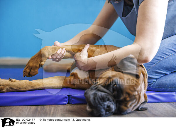 Physiotherapie / physiotherapy / JQ-02477
