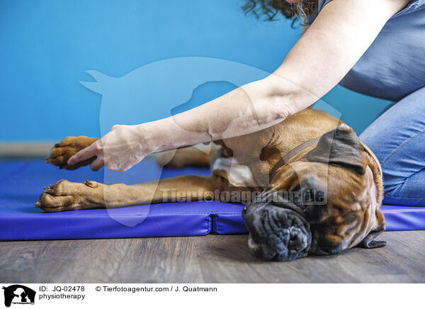 Physiotherapie / physiotherapy / JQ-02478