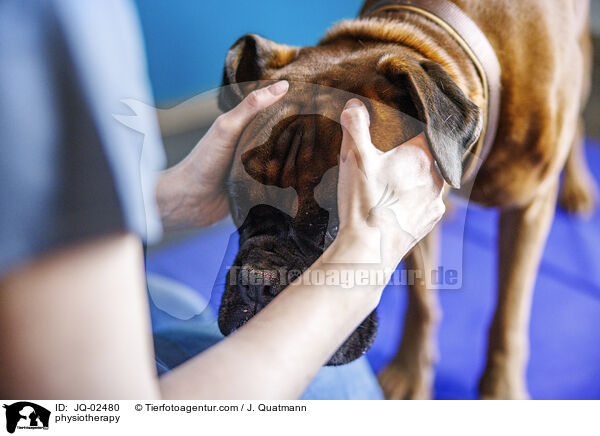 Physiotherapie / physiotherapy / JQ-02480
