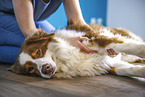 physiotherapy